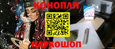 дмт Гай