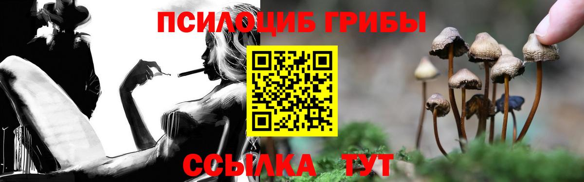 Елец  Псилоцибиновые грибы GOLDEN TEACHER  Вход с VPN  Псилоцибиновые грибы GOLDEN TEACHER 
